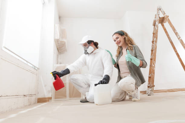 Professional Mold Removal in Mount Ivy, NY